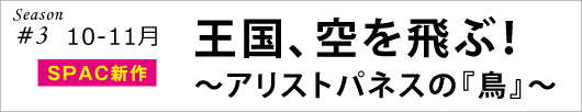 bird_banner3